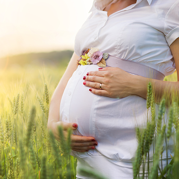 Hamilelik nedir?/26.02.2022
