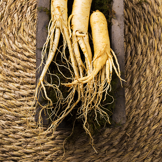 Ginseng